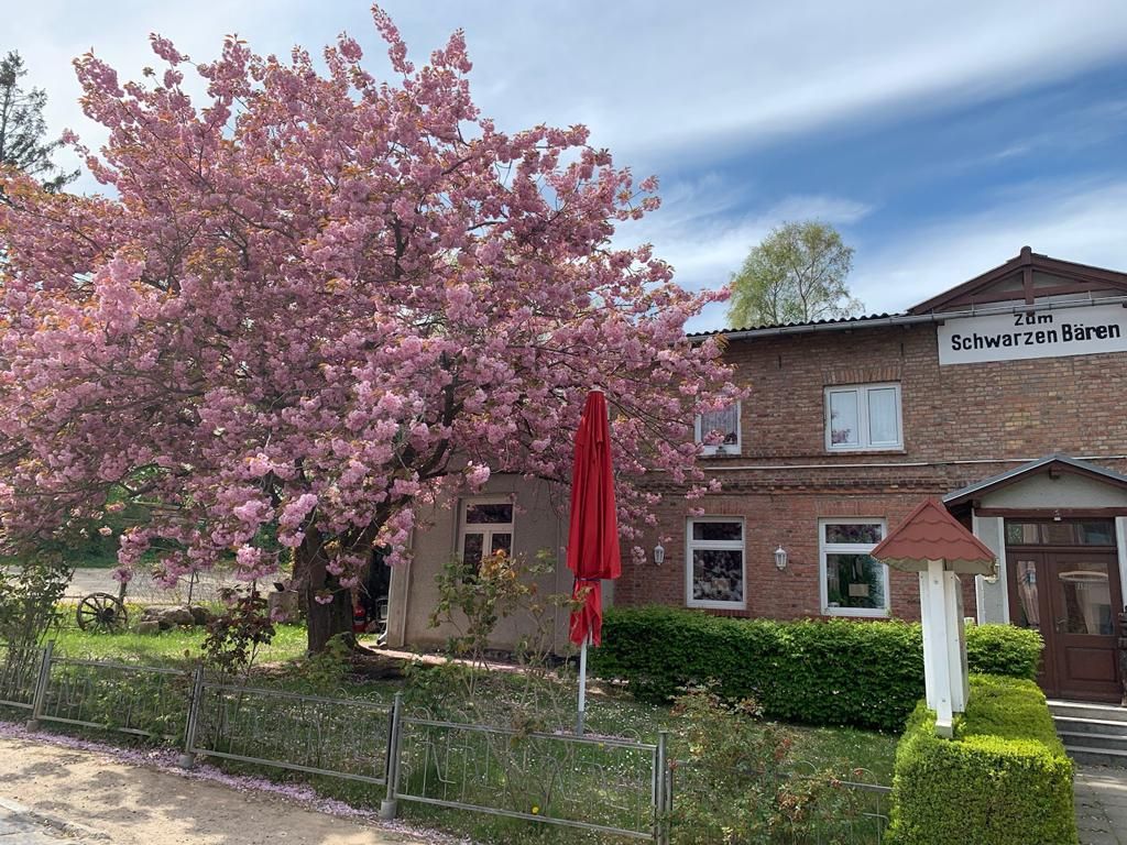 Homepage zum schwarzen Bären